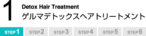 STEP1FDetox Hair Treatment Q}fgbNXwAg[gg