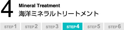 Step4FMineral Treatment Cm~lg[gg
