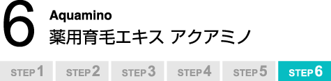 Step6FAquamino pуGLX ANA~m